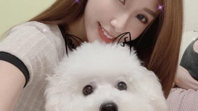 Photo of 【分享】只有你不會離棄我🧡